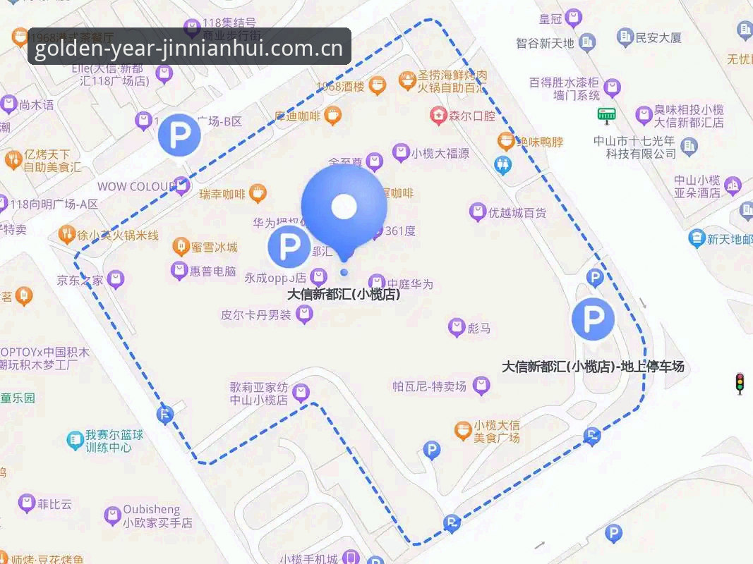 金年汇中国赛事数据下载完整指南：从新手到高手的实用操作流程
